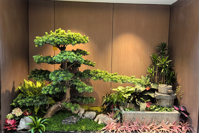 黄埔私人会所植物搭配
