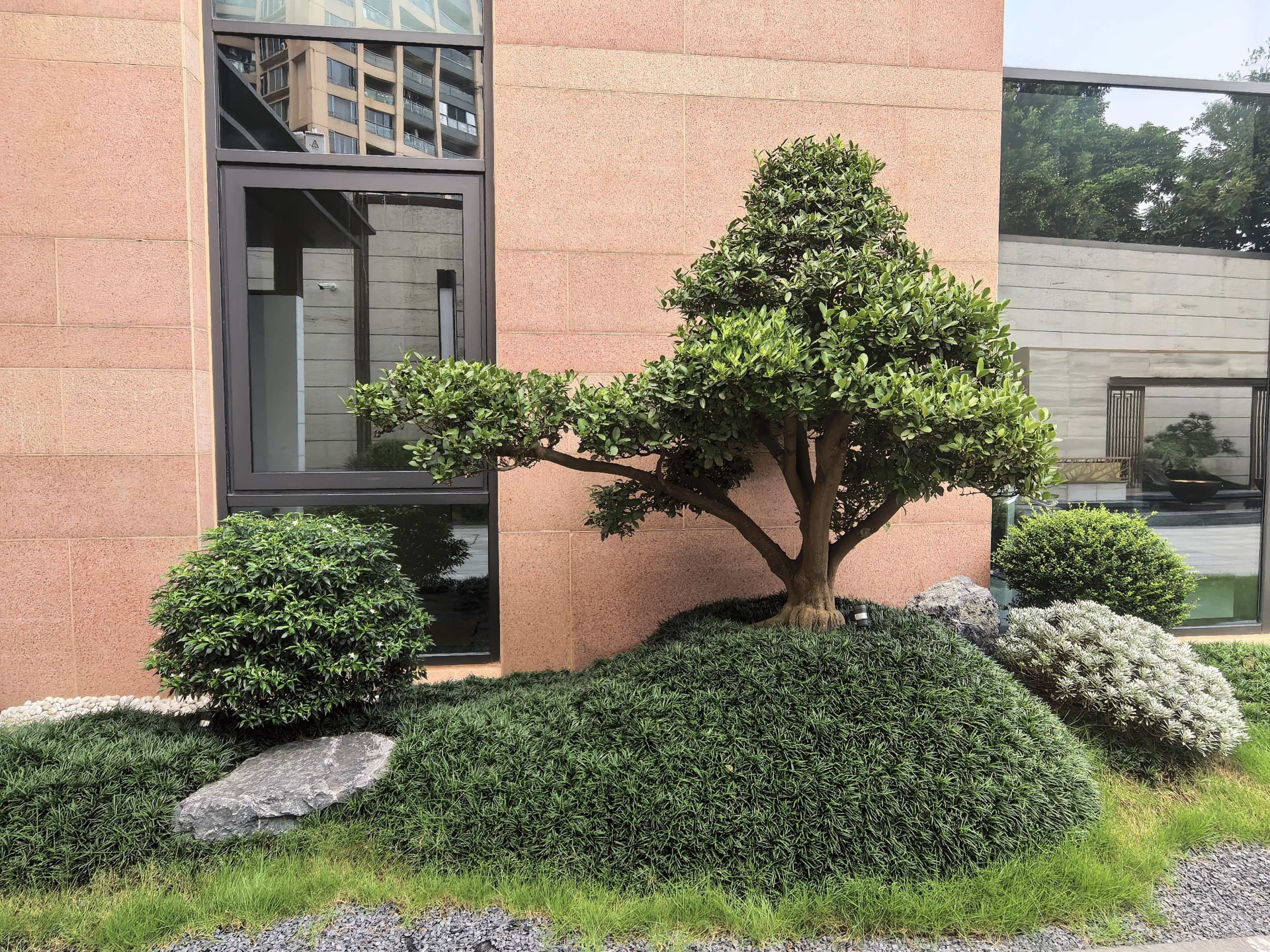 实景观案例